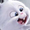 白俊遥博客 白俊遥博客