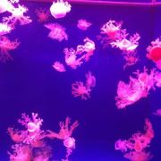 白俊遥博客 白俊遥博客