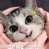 白俊遥博客 白俊遥博客
