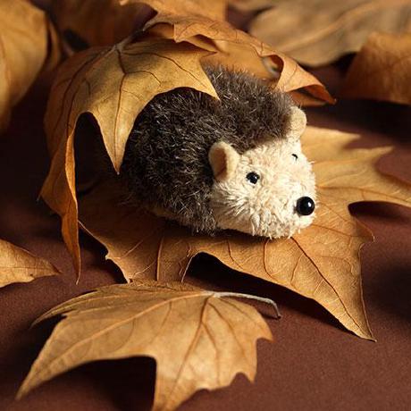 白俊遥博客 白俊遥博客