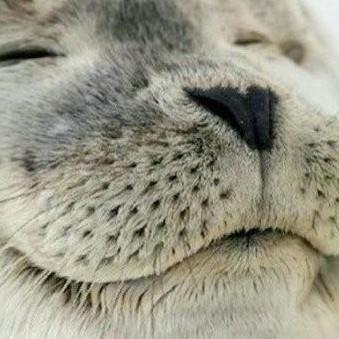 白俊遥博客 白俊遥博客