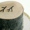 白俊遥博客 白俊遥博客