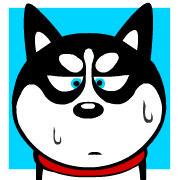 白俊遥博客 白俊遥博客