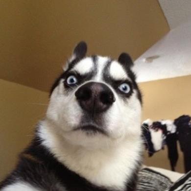 白俊遥博客 白俊遥博客