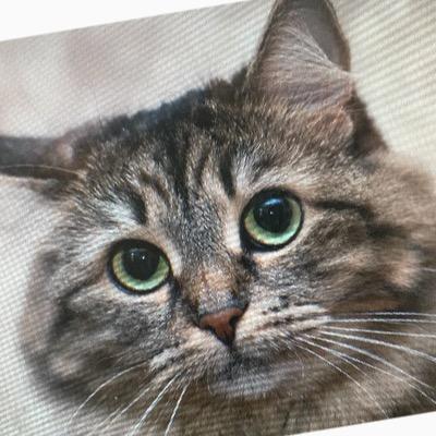 白俊遥博客 白俊遥博客