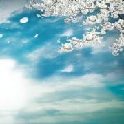 白俊遥博客 白俊遥博客