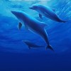 白俊遥博客 白俊遥博客