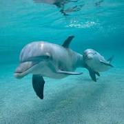 白俊遥博客 白俊遥博客