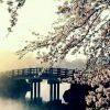 白俊遥博客 白俊遥博客